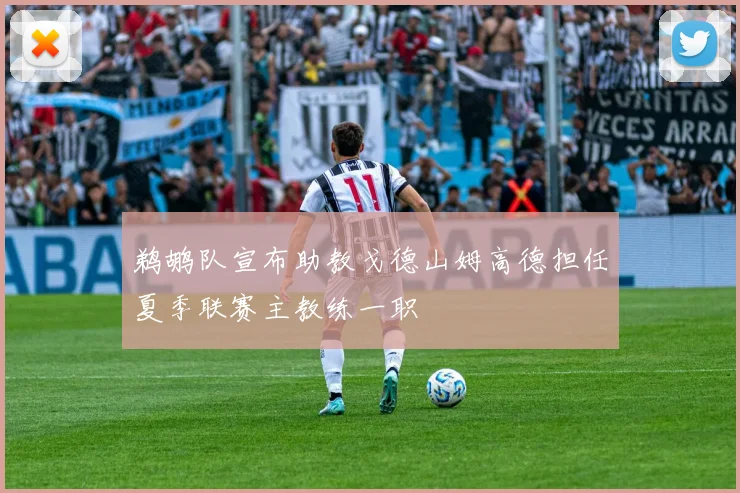 鹈鹕队宣布助教戈德山姆高德担任夏季联赛主教练一职