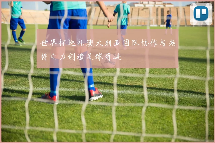 世界杯巡礼澳大利亚团队协作与老将合力创造足球奇迹